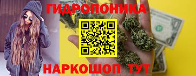 МДПВ Краснознаменск