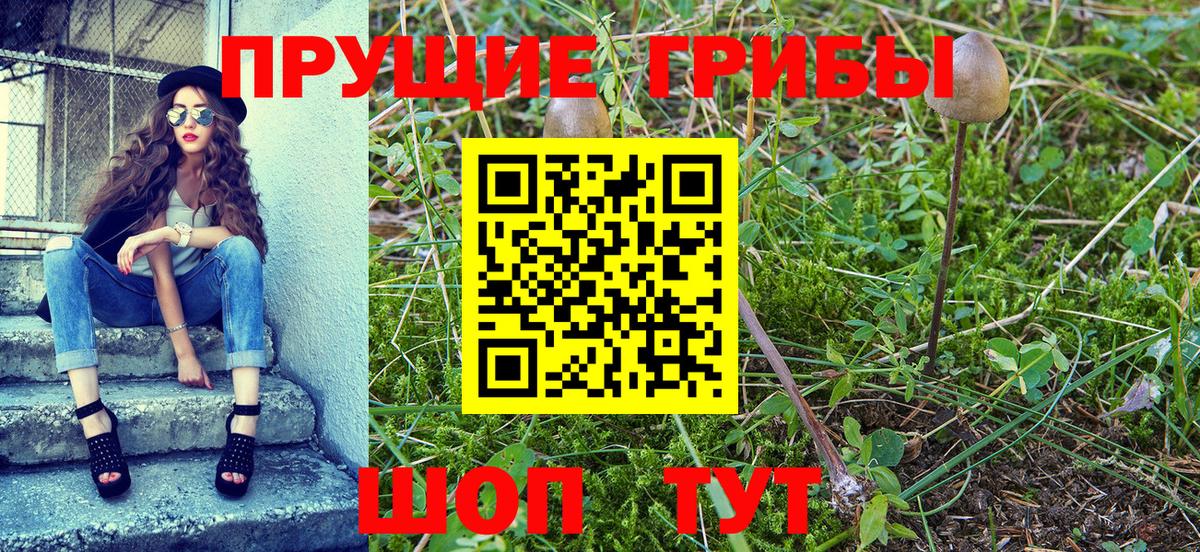 Псилоцибиновые грибы мухоморы  Вход с VPN  Дубна 